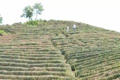 我们听到陈鹏鹏叫起他“爸”来天然里透着